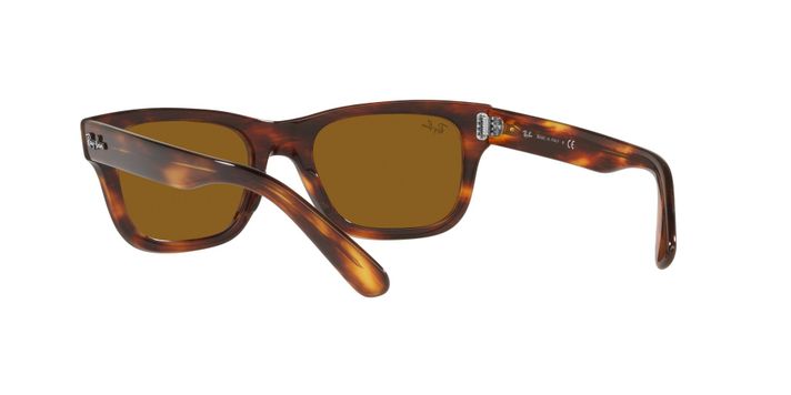 Ray-Ban Mr Burbank RB2283 954/33 55-4