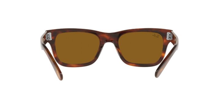 Ray-Ban Mr Burbank RB2283 954/33 55-5