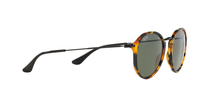 Ray-Ban Round Fleck RB2447 1157 49-9