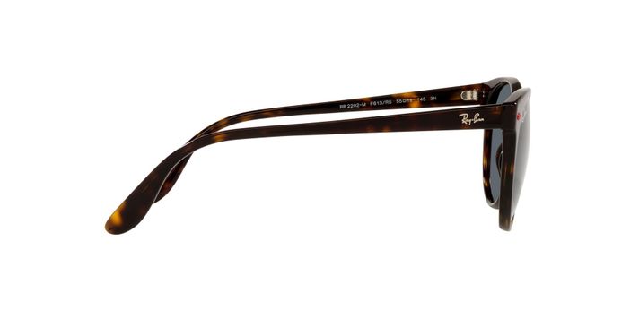 Ray-Ban RB2202M RB2202M F613R5 55 RB2202M F613R5 55-8