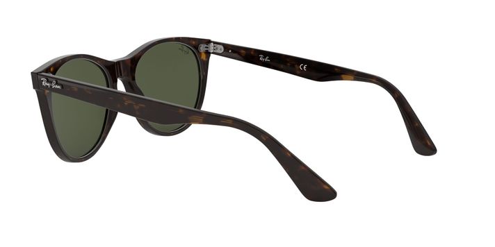 Ray-Ban Wayfarer II-3