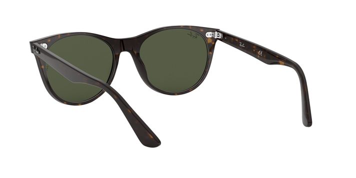 Ray-Ban Wayfarer II-4
