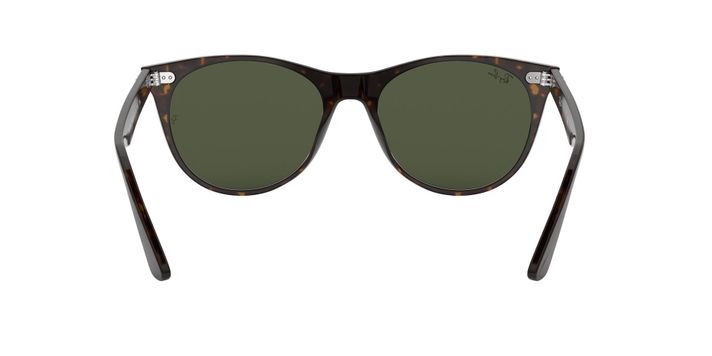Ray-Ban Wayfarer II-5
