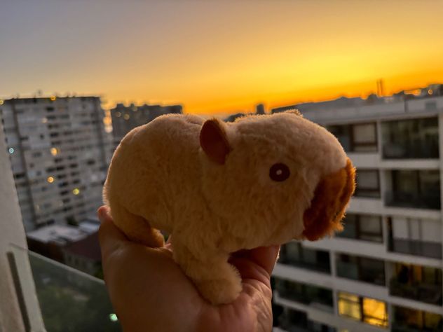 Robot Mascota Capibara Sonido Camina Peluche Juguete Regalo Navidad-2