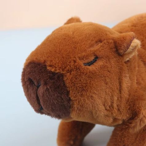 Robot Mascota Capibara Sonido Camina Peluche Juguete Regalo Navidad-5