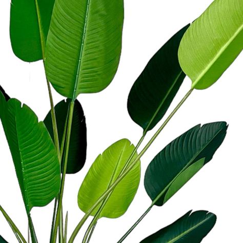 Planta Artificial Ave del Paraiso 180 cm. / 12 Hojas-2