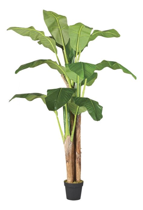Planta Artificial Banano 180 Cm. Premium / Arbusto Real-0