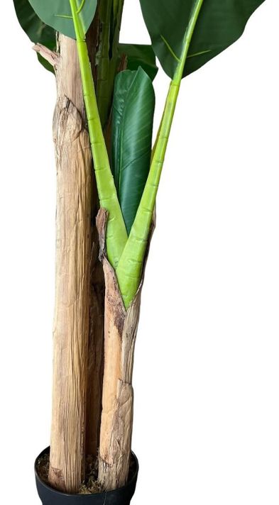 Planta Artificial Banano 180 Cm. Premium / Arbusto Real-5