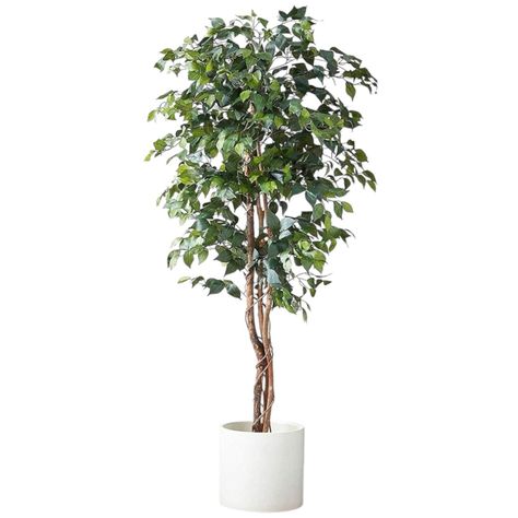 Planta Artificial Ficus Premium 180 Cm 1288 Hs/ Arbusto Real-0