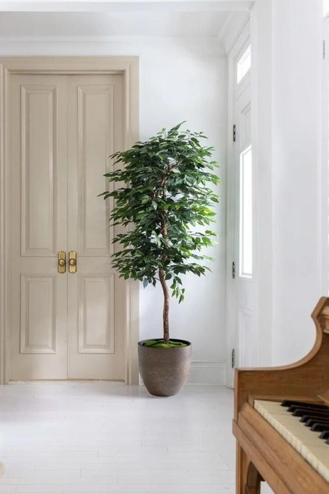 Planta Artificial Ficus Premium 180 Cm 1288 Hs/ Arbusto Real-4