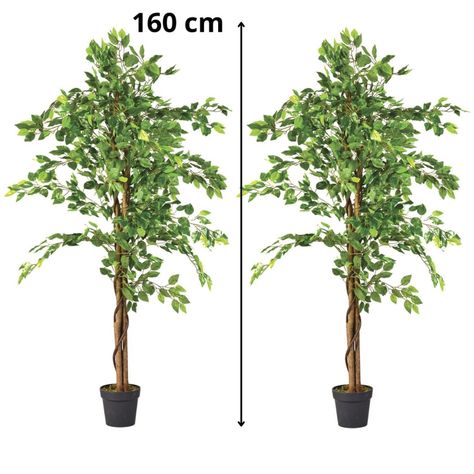 2 X 1 Plantas Artificiales Premium Ficus 160 Cm-2
