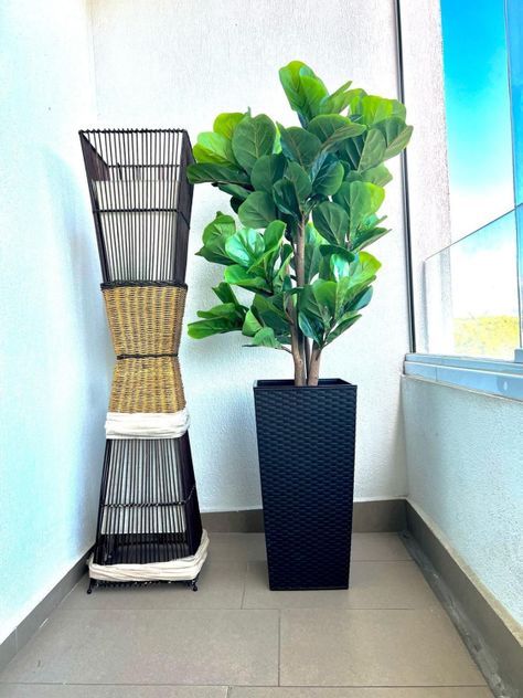 Planta Artificial Ficus Lyrata 120 Cm 134 Hjs / Arbusto Real-3