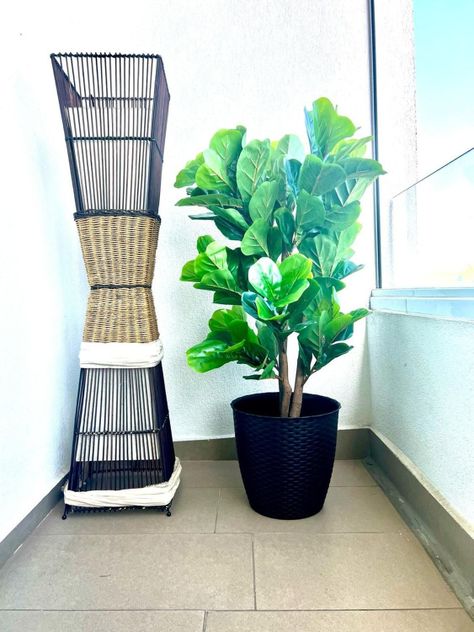 Planta Artificial Ficus Lyrata 120 Cm 134 Hjs / Arbusto Real-4