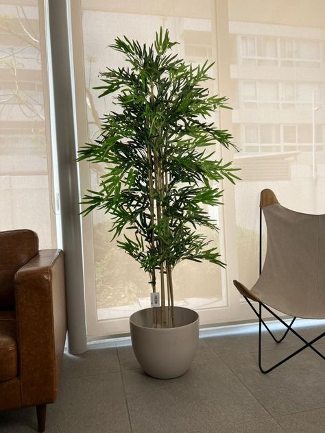 Planta Artificial Bamboo 150 Cm. Premium / Arbusto Real-1