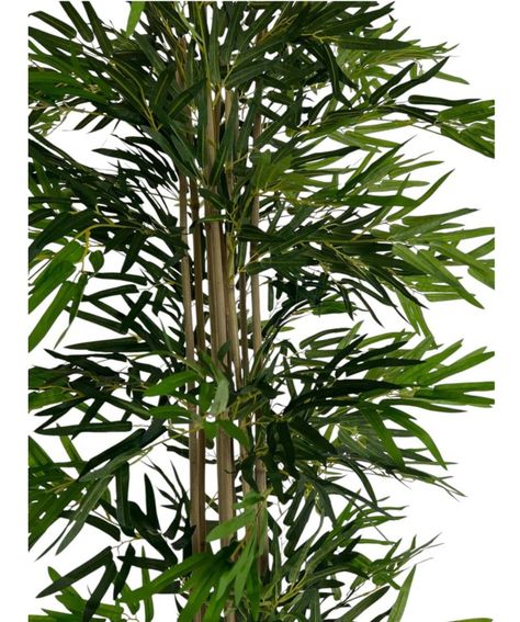 Planta Artificial Bamboo 150 Cm. Premium / Arbusto Real-4