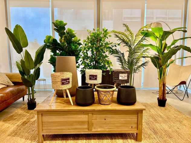 Planta Artificial Bamboo 150 Cm. Premium / Arbusto Real-6