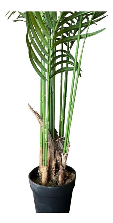 Planta Artificial Palmera 180 Cm. Premium 15 Hojas-6