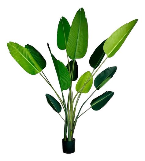 Planta Artificial Ave Del Paraiso 180 Cm. Premium 12 Hojas-0