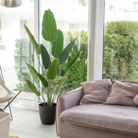 Planta Artificial Ave Del Paraiso 180 Cm. Premium 12 Hojas-1