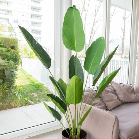 Planta Artificial Ave Del Paraiso 180 Cm. Premium 12 Hojas-2