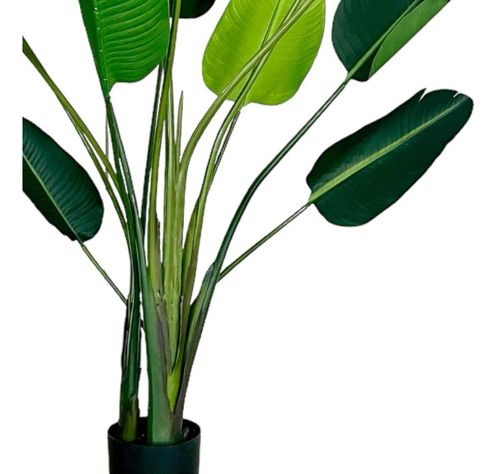 Planta Artificial Ave Del Paraiso 180 Cm. Premium 12 Hojas-7