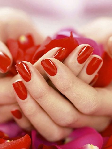 Manicure Completa Permanente-0