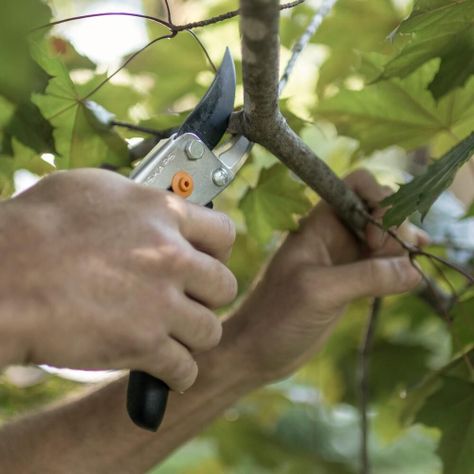 Tijera de podar Corte angular UltraBlade® FISKARS-1