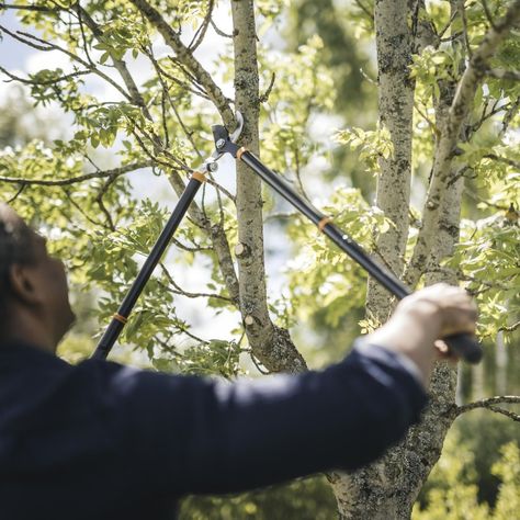 Tijerón de podar Cortarramas Extensible Fiskars corte angular-5
