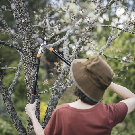 Tijerón de podar Cortarramas Extensible Fiskars corte angular-6