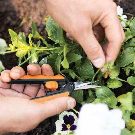 Tijera Floral Detalles Microtip Fiskars Para Tallos Y Hojas-2