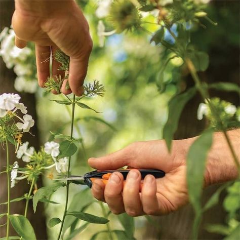 Tijera Floral Detalles Microtip Fiskars Para Tallos Y Hojas-3