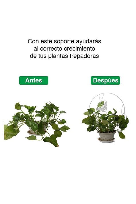 Soporte plantas trepadoras Mariposa Blanca	-2