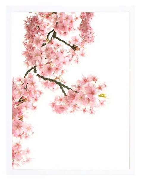 Set 3 Cuadros Pink&Calm 30x40 Marco Blanco-1