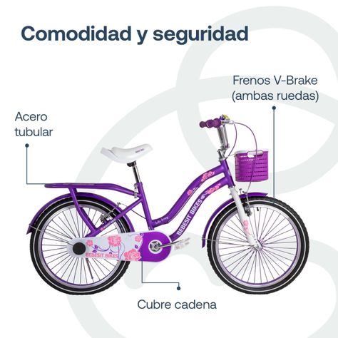 Bicicleta Infantil Queen Aro 20 Morada Bebesit-4