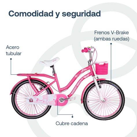 Bicicleta Infantil Queen Aro 20 Rosada Bebesit-4