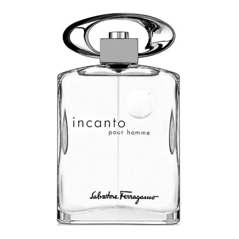 Salvatore Ferragamo Incanto Pour Homme Edt 100 Ml-1