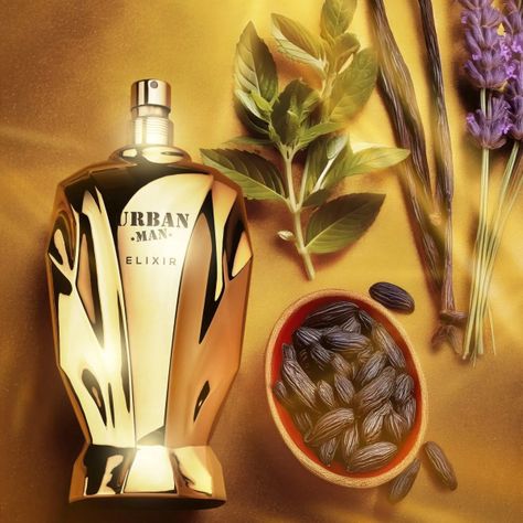 Perfume Fragrance World Urban Man Elixir EDP 100 Ml-1