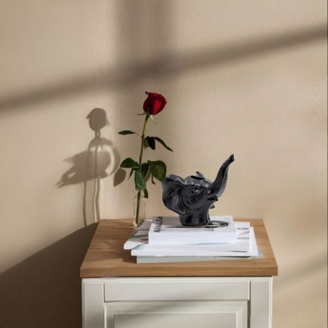 Maceta Cerámica Elefante Negro Decoración Jhn-5