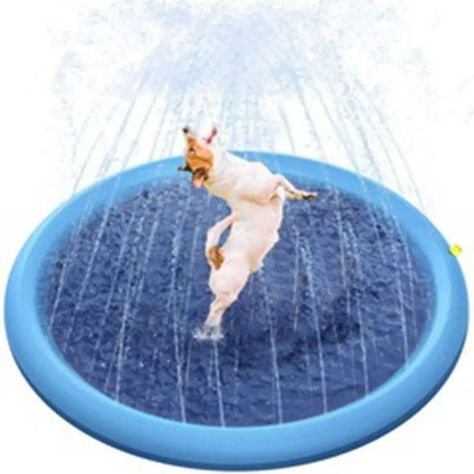 Juguete Mascotas Piscina Cojn Impermeable Perros Rondon-1