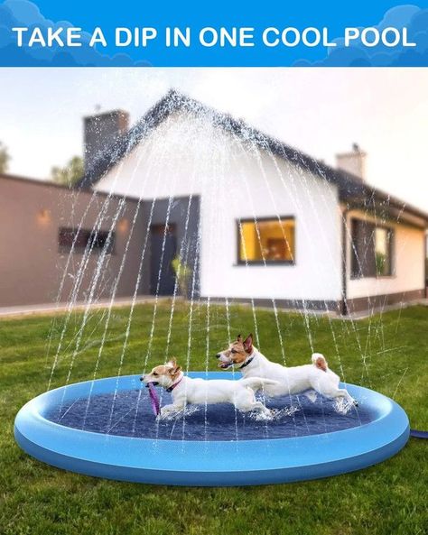 Juguete Mascotas Piscina Cojn Impermeable Perros Rondon-2