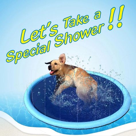 Juguete Mascotas Piscina Cojn Impermeable Perros Rondon-3