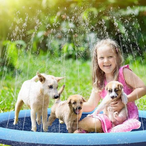 Juguete Mascotas Piscina Cojn Impermeable Perros Rondon-9