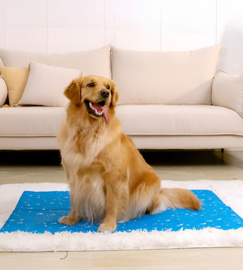 Manta Refrescante Gel Frío Mascotas Talla XL 96x81cm Jhn-2