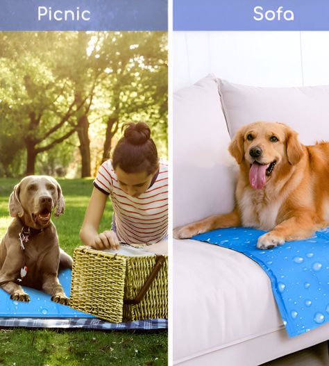 Manta Refrescante Gel Frío Mascotas Talla XL 96x81cm Jhn-8