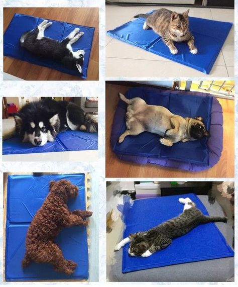 Alfombrilla Refrigeración Perros Calidad Manta Verano Rondon-2