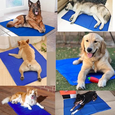 Alfombrilla Refrigeración Perros Calidad Manta Verano Rondon-7
