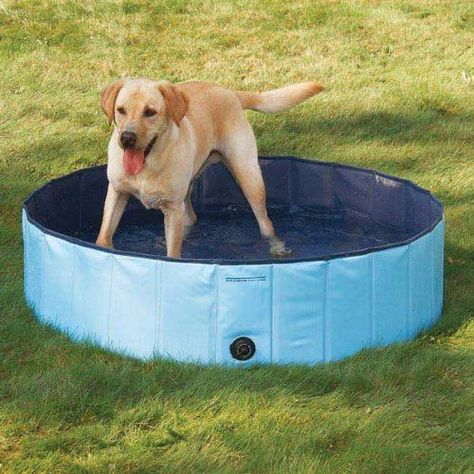 Juguete Perros Piscina ultifucacional Prueba Agua Rondon-2