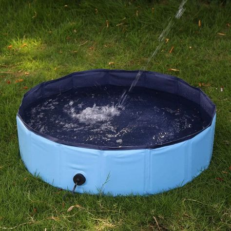 Juguete Perros Piscina ultifucacional Prueba Agua Rondon-6