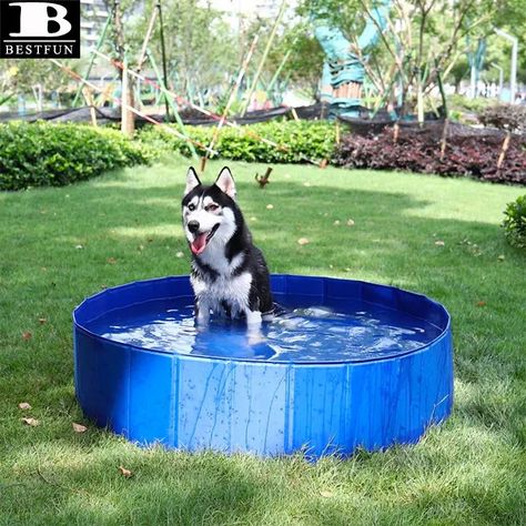 Juguete Perros Piscina ultifucacional Prueba Agua Rondon-7