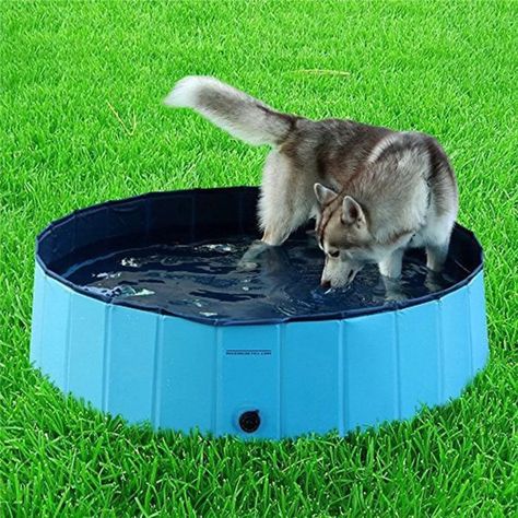 Juguete Perros Piscina ultifucacional Prueba Agua Rondon-9